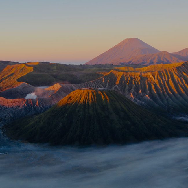 bromo